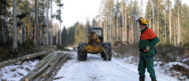 Forestry and agricultural applications 