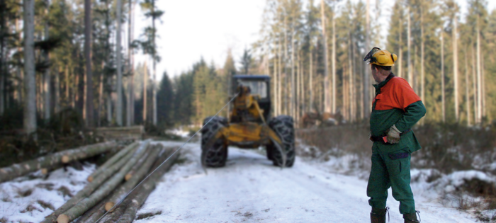 Forestry and agricultural applications