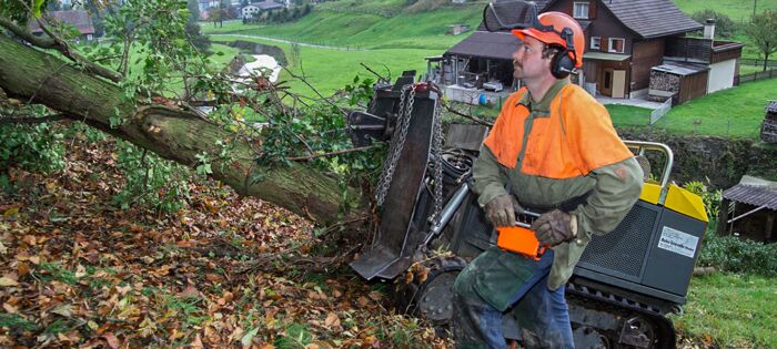 Forestry and agricultural applications