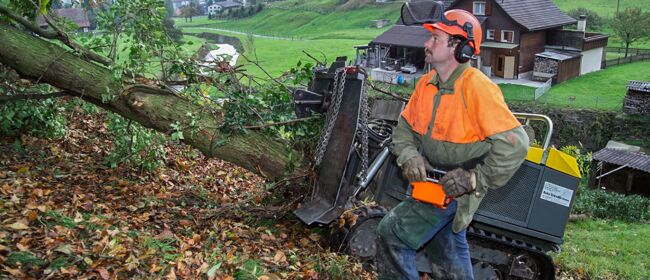 Forestry and agricultural applications 