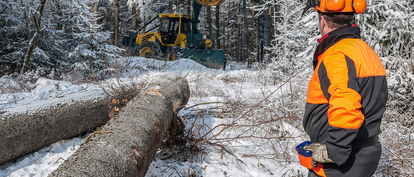 Forestry winches: one of the classic applications for HBC radio controls.